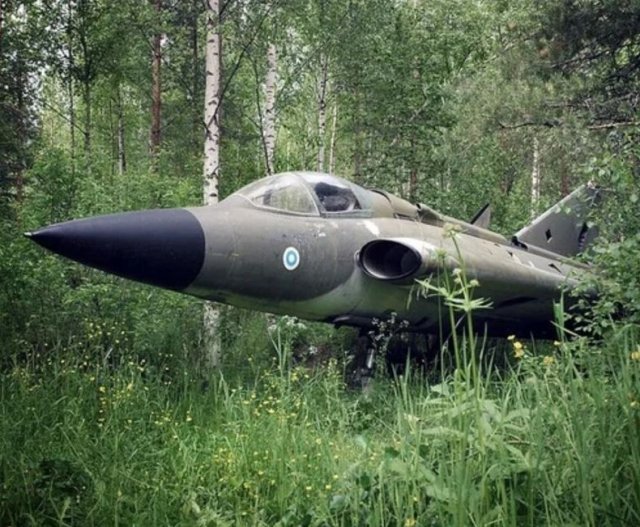Необычные находки в лесах