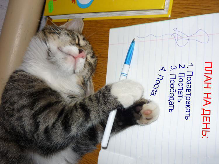 Фотография: 10 вещей, которые стоит делать до 10 утра №4 - BigPicture.ru