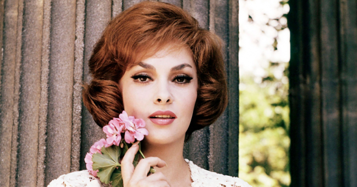 1200x630_0xac120003_14959336941673871633