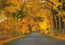 Що варто зробити 6 листопада, щоб удача не покидала увесь рік: народні прикмети дня