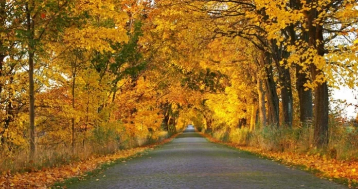 700x371-68d4ea6fc0223