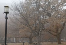 Прогноз погоди на 7 листопада — якою буде погода завтра