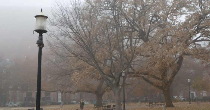 973a68b51a5f9adfaccd99392178b707