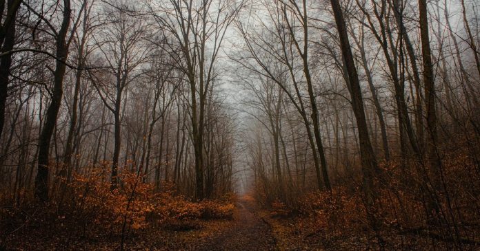 c509ca4c1f906fc452620fd3af80c293