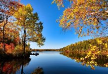 Прогноз погоди в Україні на тиждень 3-9 листопада